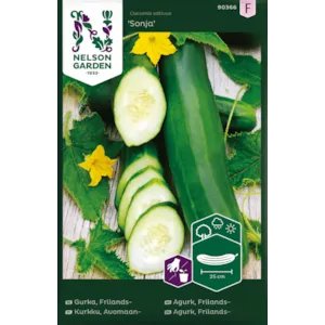 Frø frilandsagurk Sonja