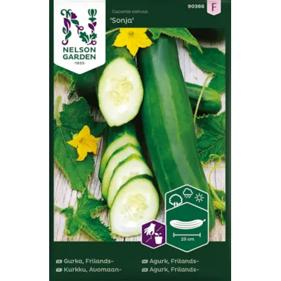 Frø frilandsagurk Sonja