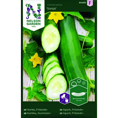 Frø frilandsagurk Sonja