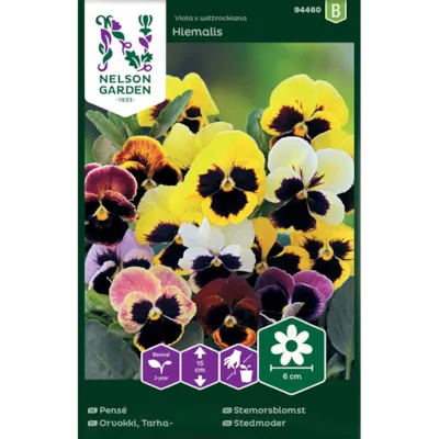 Frø stemorsblomst Hiemalis