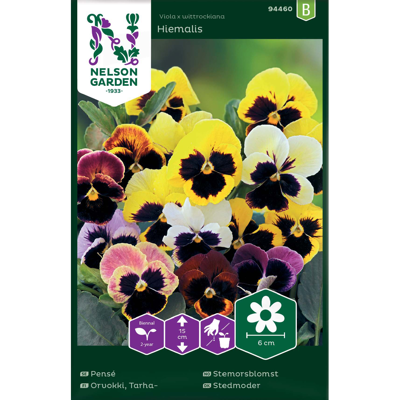 Frø stemorsblomst Hiemalis