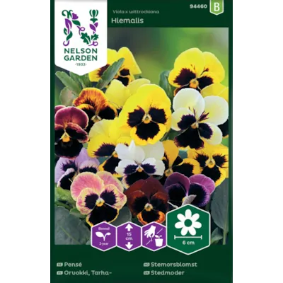 Frø stemorsblomst Hiemalis, bilde 2