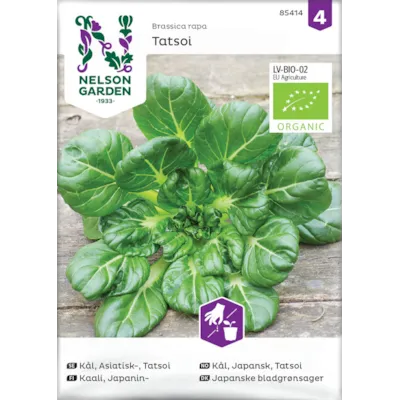 Frø japansk kål Tatsoi økologisk