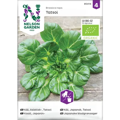 Frø japansk kål Tatsoi økologisk