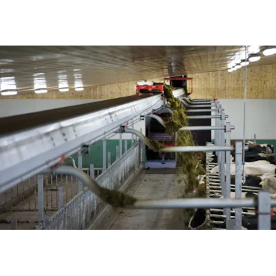 FeedBelt bandutforing, bilde 2