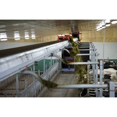 FeedBelt bandutforing, bilde 2