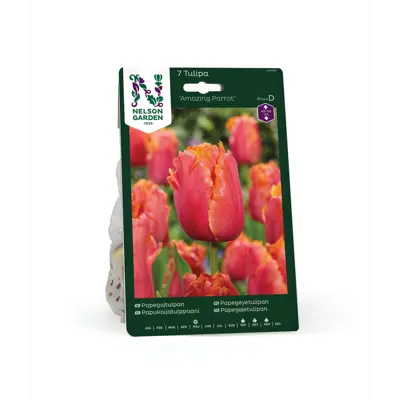Høstløk tulipan Amazing Parrot
