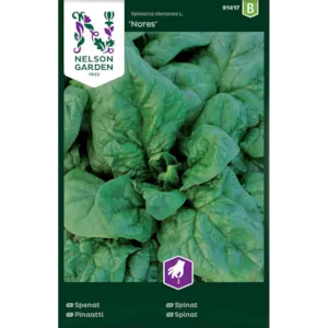 Frø spinat Nores