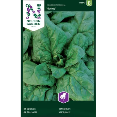 Frø spinat Nores