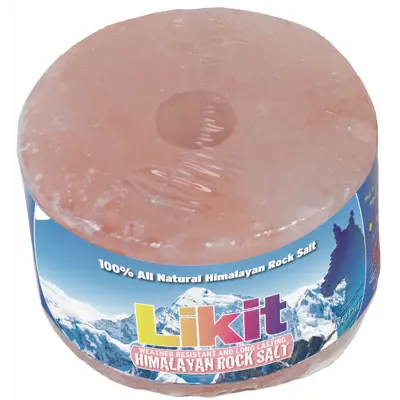 Himalaya saltstein 1 kg