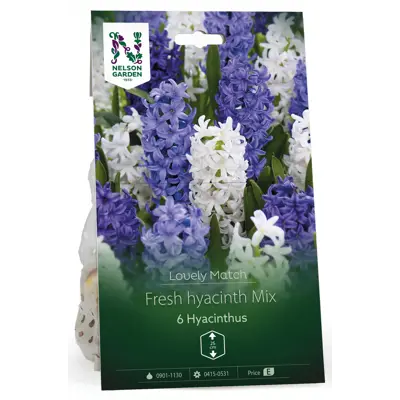 Høstløk hyasint Fresh hyacinth Mix LM
