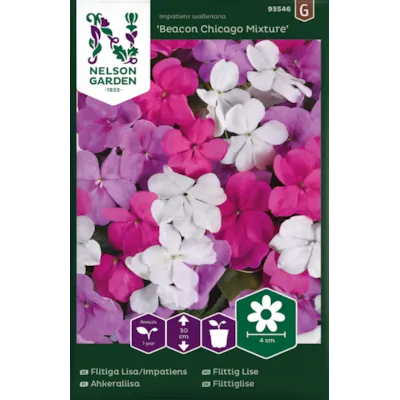 Frø flittig Lise Beacon Chicago Mixture