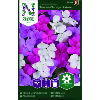 Frø flittig Lise Beacon Chicago Mixture