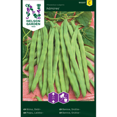 Frø snittebønne Admires