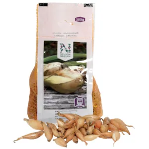 Setteløk gul løk avlang 250 g