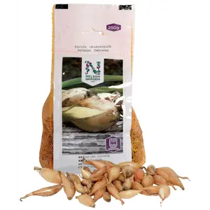 Setteløk gul løk avlang 250 g