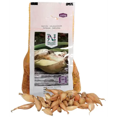 Setteløk gul løk avlang 250 g