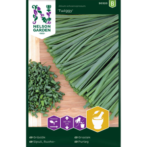 Frø gressløk Twiggy