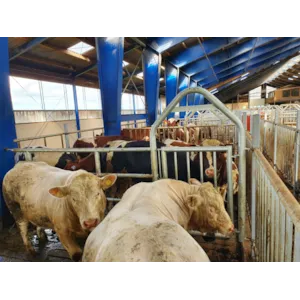 4-rørs teleskopisk skille med port i bue