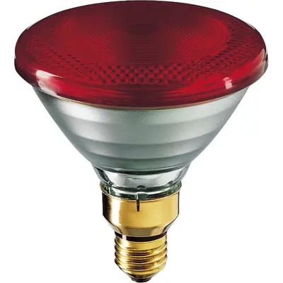 Varmepære infrarød 100W 12 stk