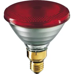 Varmepære infrarød 100W 12 stk