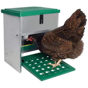 Fôrsilo til høns utendørs 5 kg