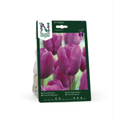 Høstløk tulipan Negrita