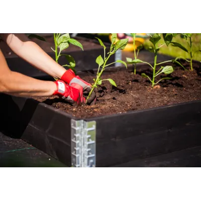 Pallekarm sort, bilde 3