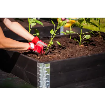 Pallekarm sort, bilde 3