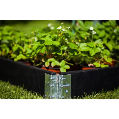 Pallekarm sort, bilde 4