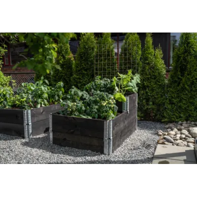 Pallekarm sort, bilde 6