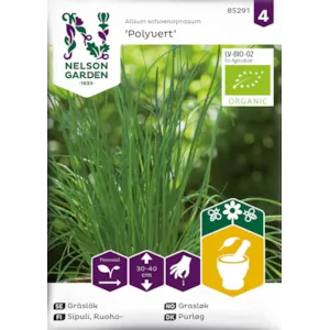 Frø grasløk alminnelig Polyvert økologisk