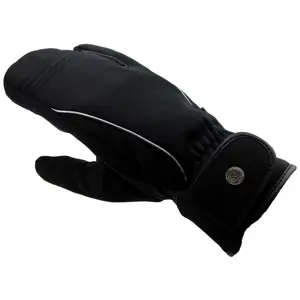 Ridevott vinter svart