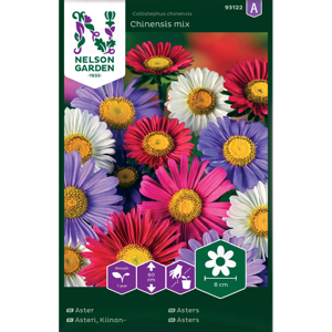 Frø asters Chinesis mix