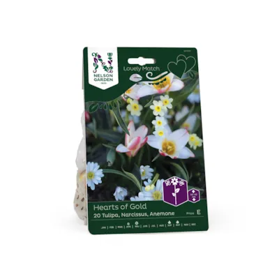 Høstløk blanding Hearts of Gold