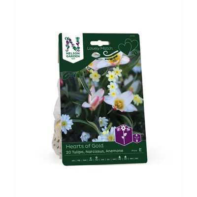 Høstløk blanding Hearts of Gold