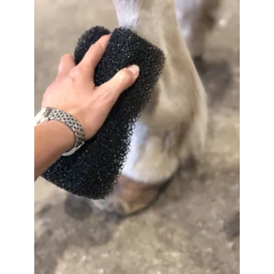 Svamp Tiger's Tongue, bilde 3