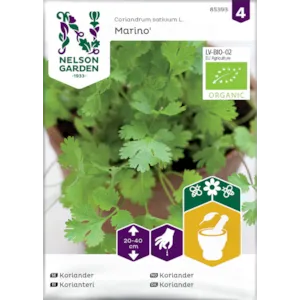 Frø koriander Marino økologisk