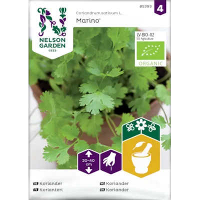 Frø koriander Marino økologisk