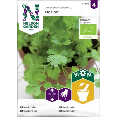 Frø koriander Marino økologisk