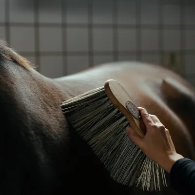 Børste Poly X-lang, bilde 4