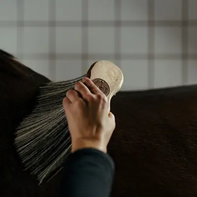 Børste Poly X-lang, bilde 3