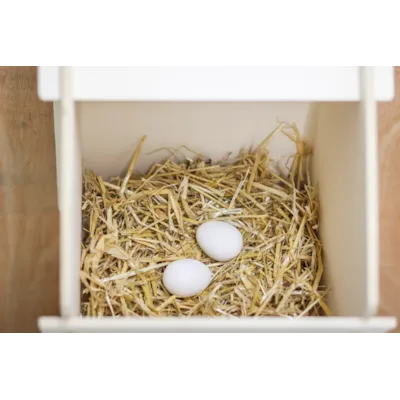 Redeegg for høns 2 pk, bilde 4