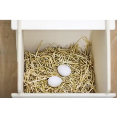 Redeegg for høns 2 pk, bilde 4