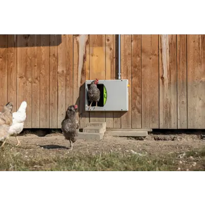 SmartCoop hønedør, bilde 4
