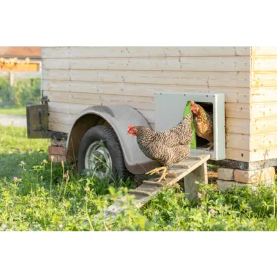 SmartCoop hønedør, bilde 6