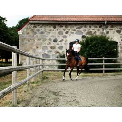 Tverrligger halv åttekantet 100x3000 mm, bilde 2