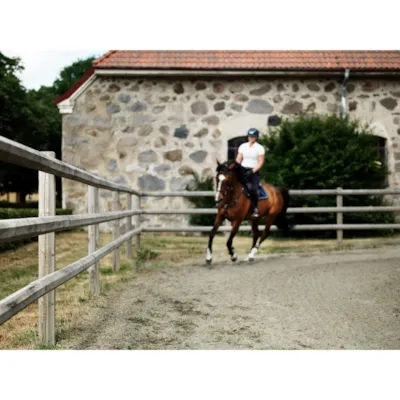 Tverrligger halv åttekantet 100x3000 mm, bilde 2