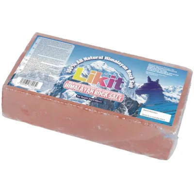 Himalaya saltstein 2 kg