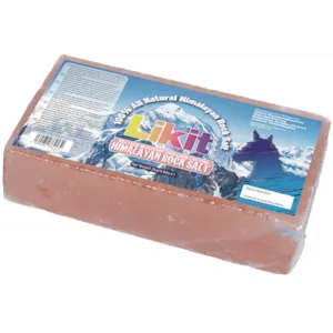 Himalaya saltstein 2 kg